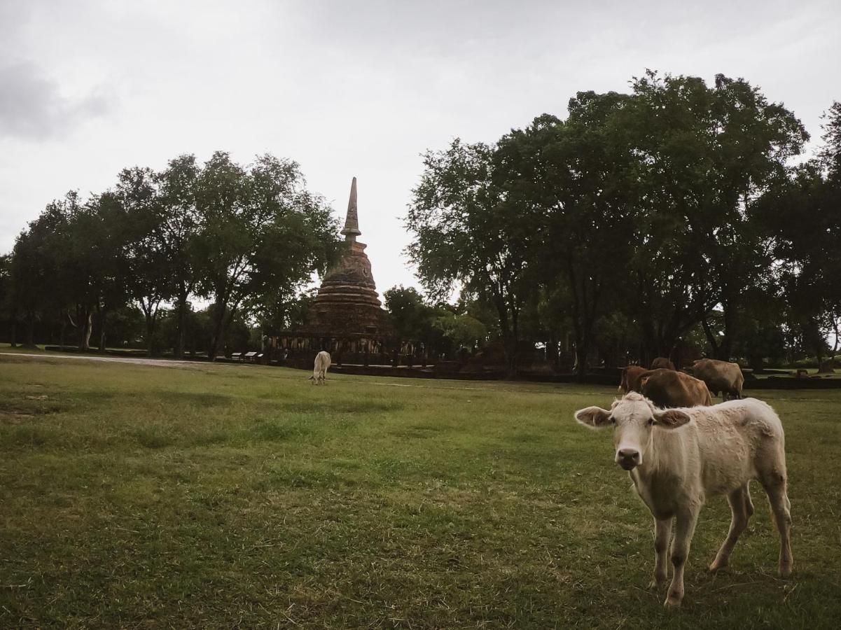 Naracha Resort Mueang Kao Bagian luar foto