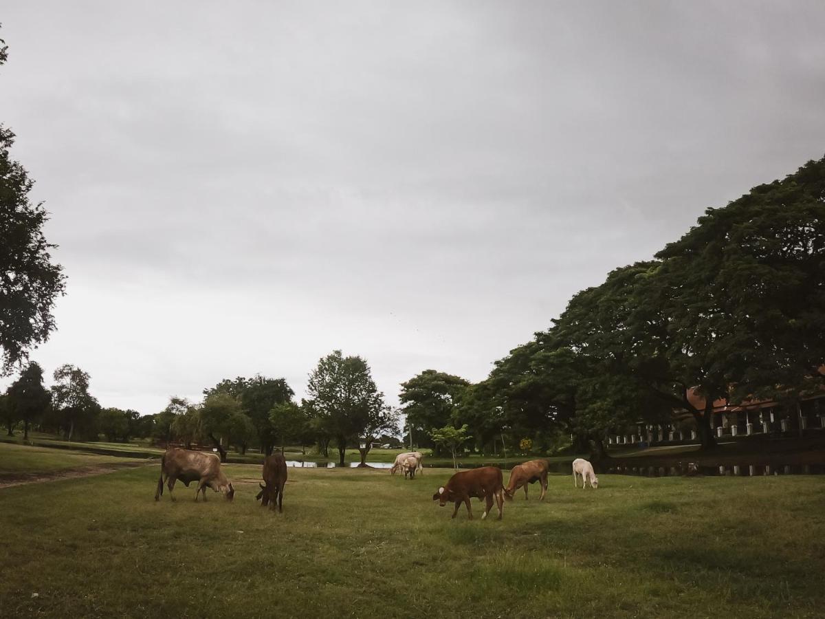 Naracha Resort Mueang Kao Bagian luar foto